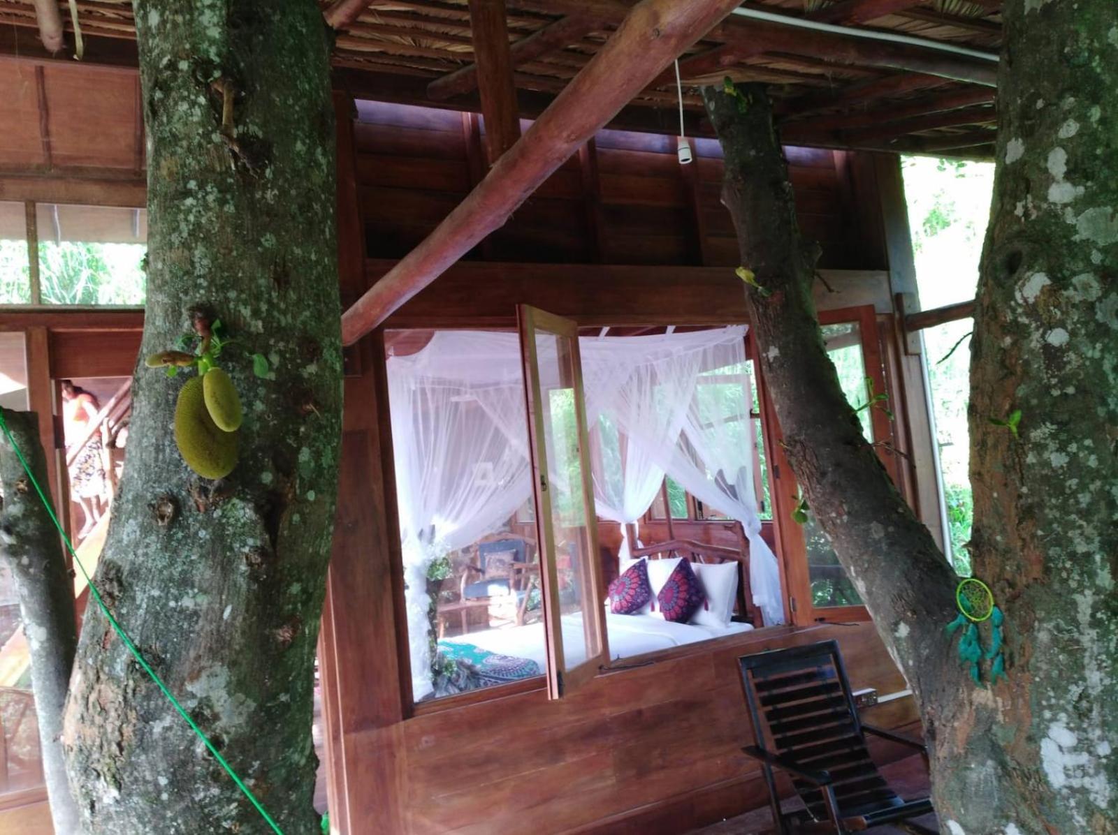 Ella Treehouse Hotel Eksteriør billede