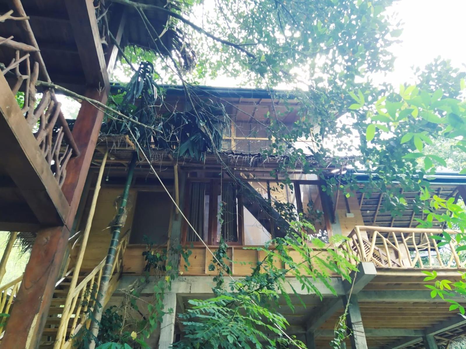 Ella Treehouse Hotel Eksteriør billede