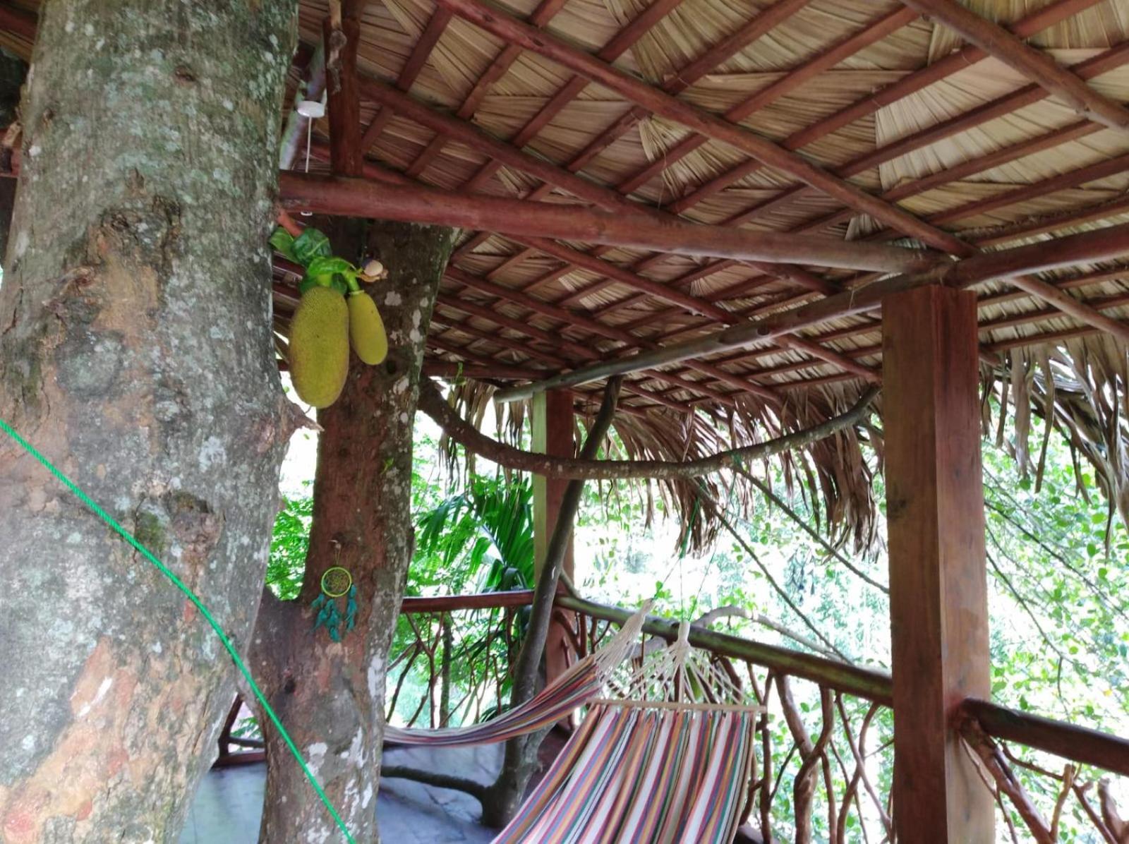 Ella Treehouse Hotel Eksteriør billede