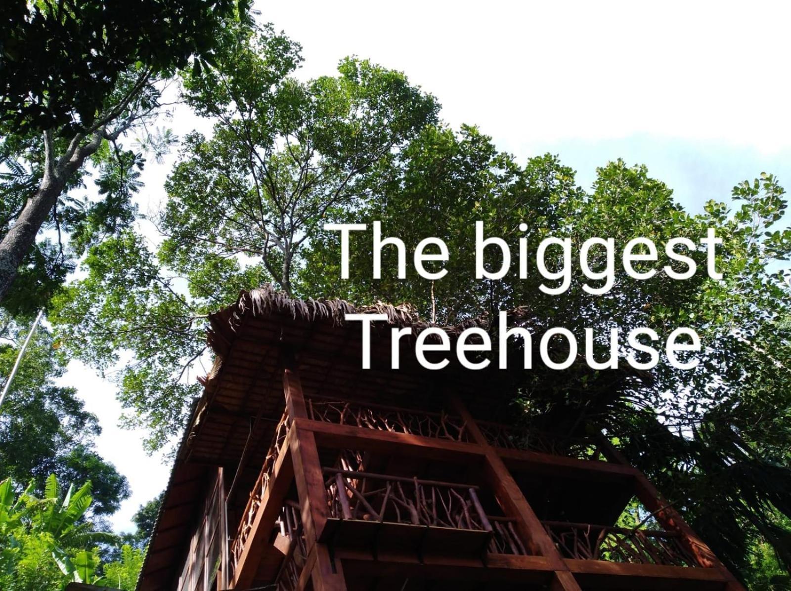 Ella Treehouse Hotel Eksteriør billede