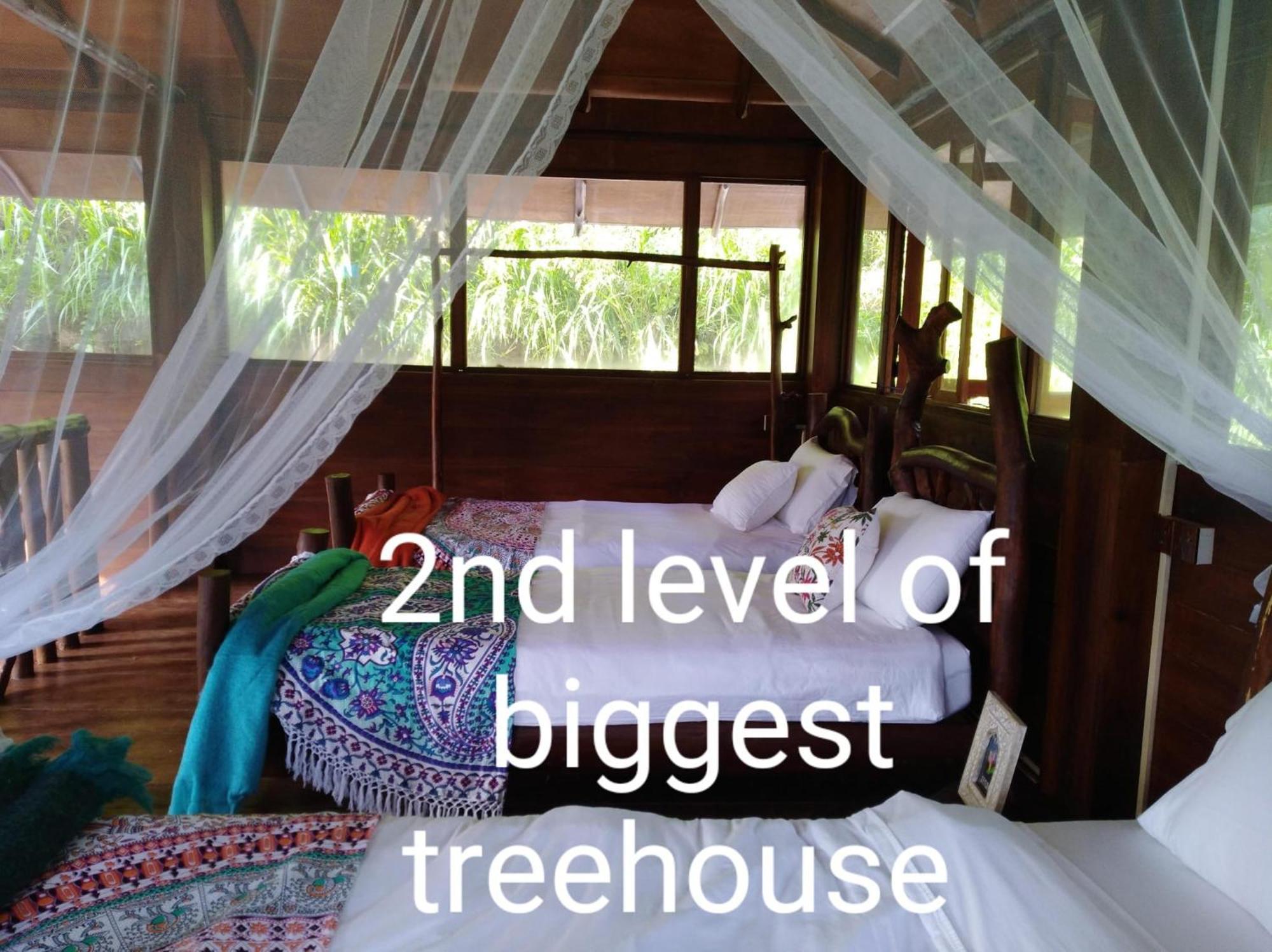 Ella Treehouse Hotel Eksteriør billede