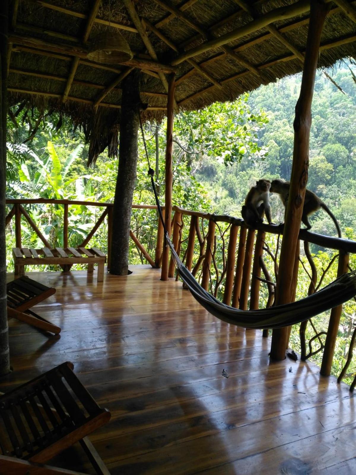 Ella Treehouse Hotel Eksteriør billede