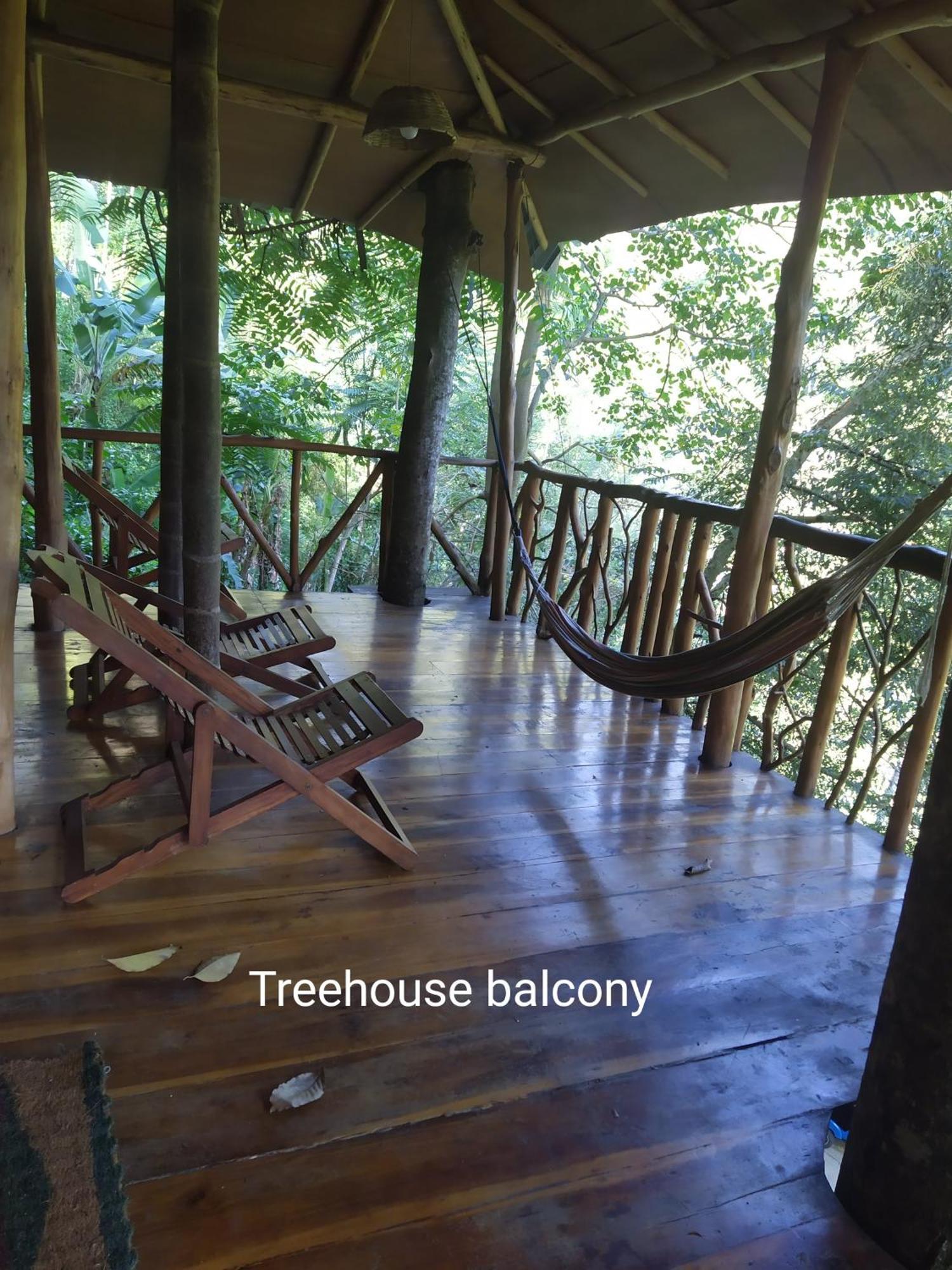Ella Treehouse Hotel Eksteriør billede