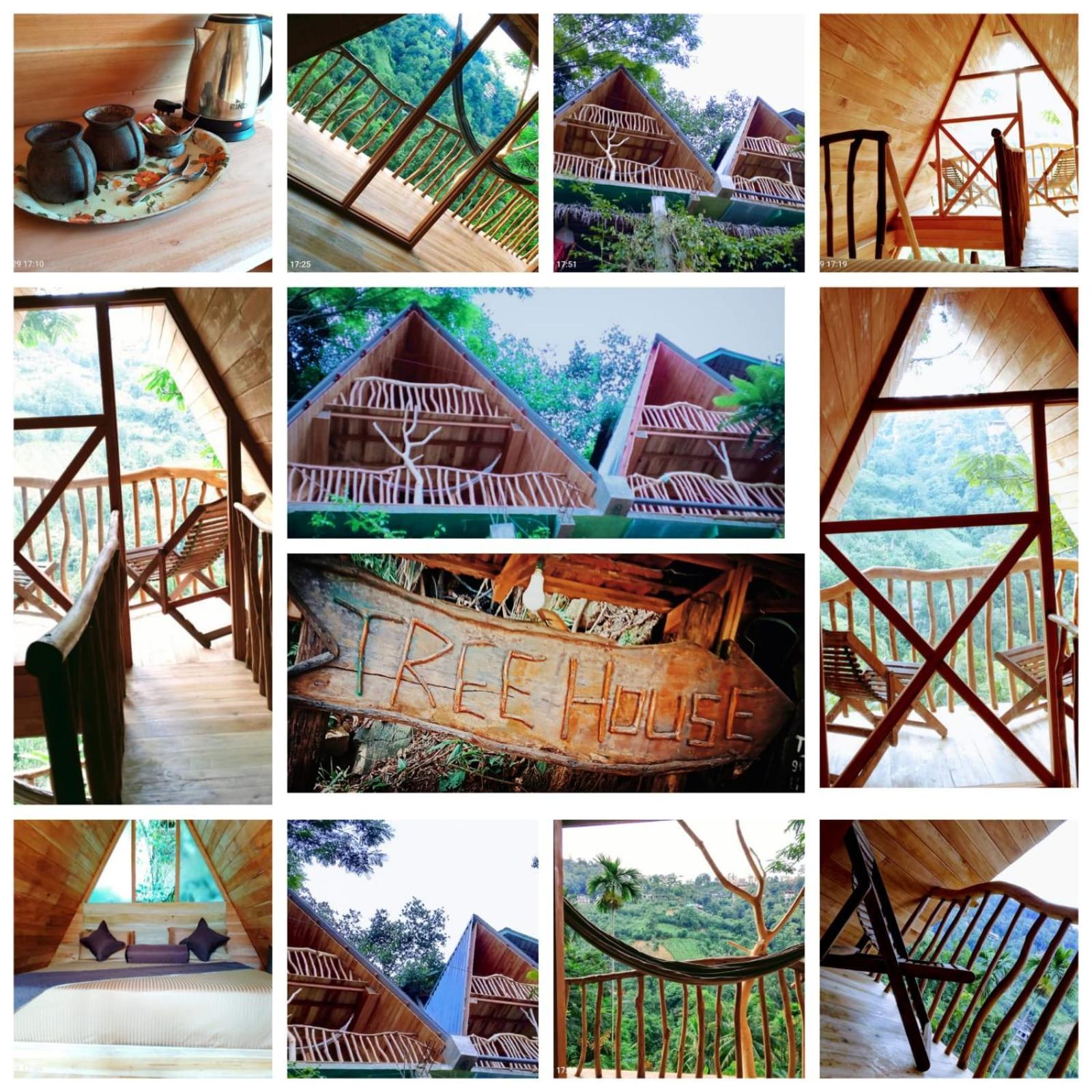 Ella Treehouse Hotel Eksteriør billede